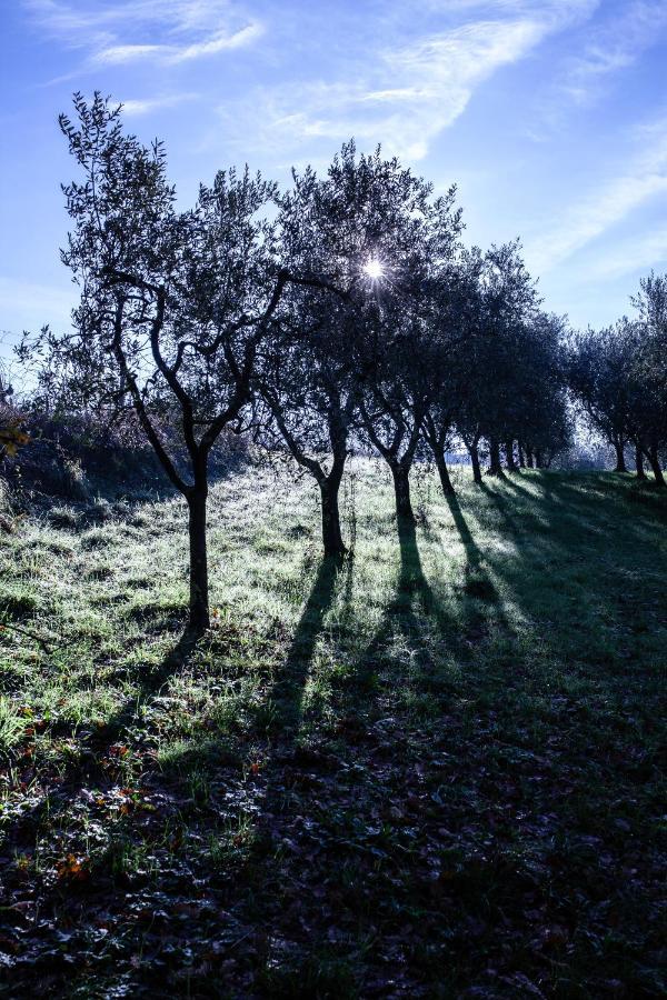Locanda Agricola Posapiano 蒙特卡洛 外观 照片